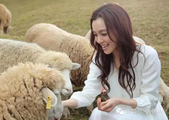 明星旅行糗事一籮筐 總有一個萌到你！