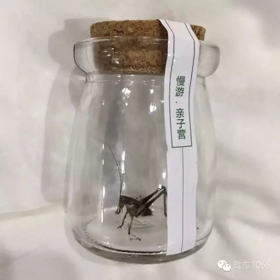 看看我的成果吧！