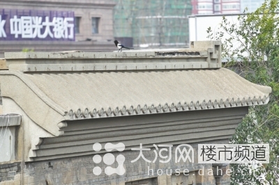 鄭州花園路“飛機樓”也要拆？去留引發(fā)關注