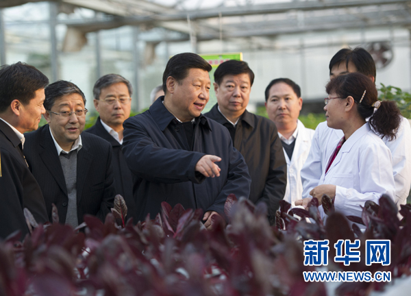  27日下午，習(xí)近平在山東省農(nóng)業(yè)科學(xué)院智能化溫室了解農(nóng)業(yè)科技創(chuàng)新情況。