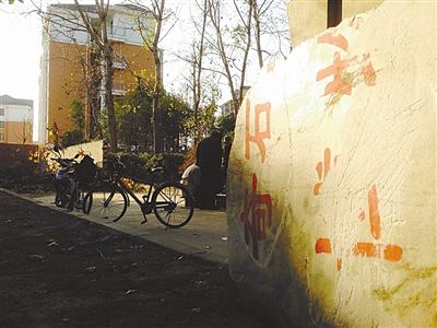 昨日，“上海奇石盆景博物館”原址上，已矗立起小區(qū)樓盤，而刻著博物館名的巨石，廢棄在一旁。本版圖片/新京報(bào)記者 張永生 攝