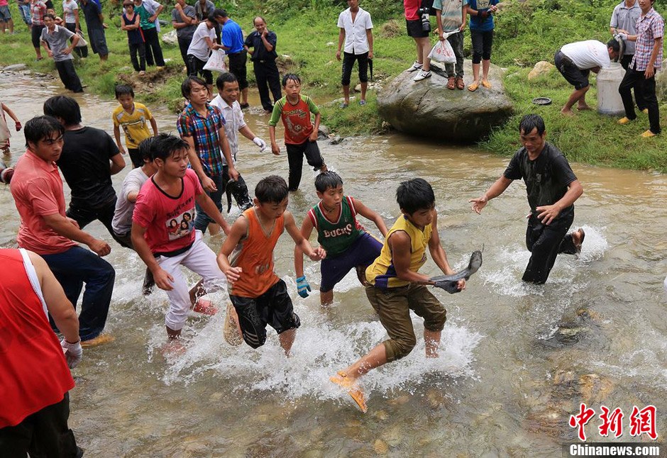 7月9日，村民在小河里摸魚搶魚。譚凱興 攝