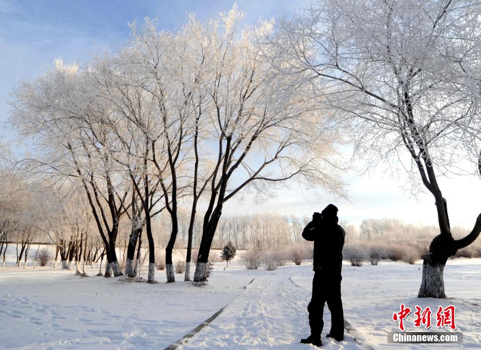 12月10日,受降溫天氣影響,黑河市黑龍江江畔出現(xiàn)綿延數(shù)公里的霧凇景觀。