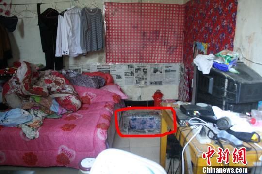 圖上紅圈內(nèi)為嫌犯所挖地窖入口。 吳佳蔚 攝