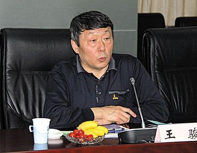 國(guó)家能源局新能源和可再生能源司司長(zhǎng)王駿。