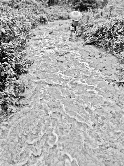 梅子回家的山道，晴天是路，雨天是河