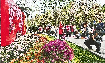 市民紛紛將鏡頭對(duì)準(zhǔn)花叢。