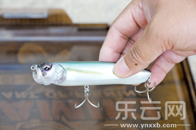 　　又稱擬餌釣魚,起源于歐洲,國內(nèi)翻譯為“路亞”。