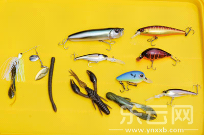 　　又稱擬餌釣魚,起源于歐洲,國內(nèi)翻譯為“路亞”。