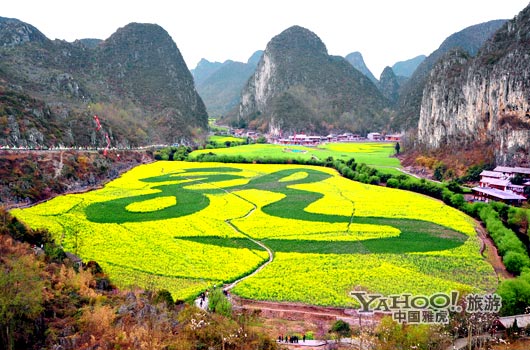 　　貴州油菜花景自以“立體多層,起伏跌宕”的油菜花景觀著稱。(圖片來(lái)源:CFP)