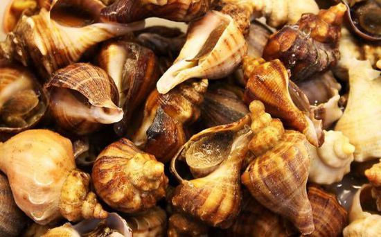 秋季最適合吃的海鮮是這10種 你吃對了嗎？