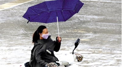 昨日下午，隴海路上，雨中風(fēng)大，一位女士的傘被吹翻了。