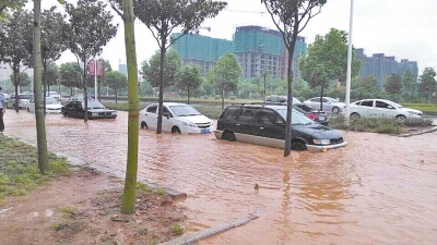 昨日，信陽突降暴雨，路面積水已淹沒輪胎。首席記者 何正權(quán) 通訊員 楊小燕 攝影