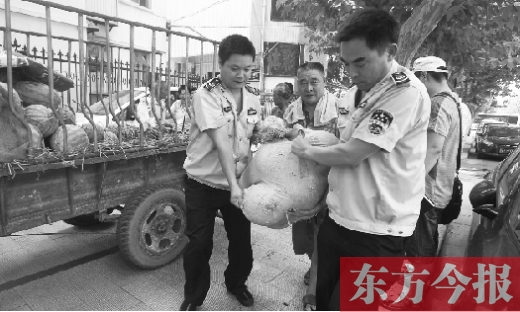 昨日，鄭州金水區(qū)執(zhí)法局的執(zhí)法隊員捐錢買瓜，替瓜農(nóng)解憂