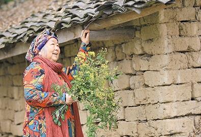 公式“時(shí)尚奶奶”的賞花照，收獲了好多人的點(diǎn)贊。 受訪者供圖