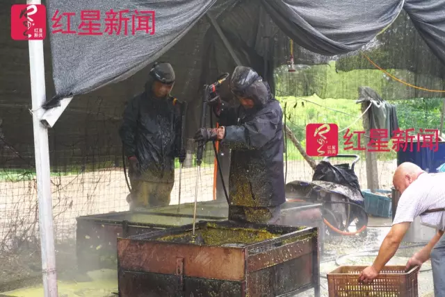 文玩核桃遇冷由幾萬一對降到5元沒人要？商戶否認