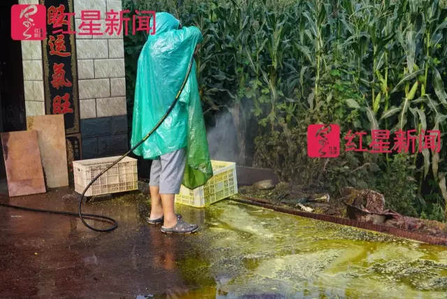文玩核桃遇冷由幾萬一對降到5元沒人要？商戶否認