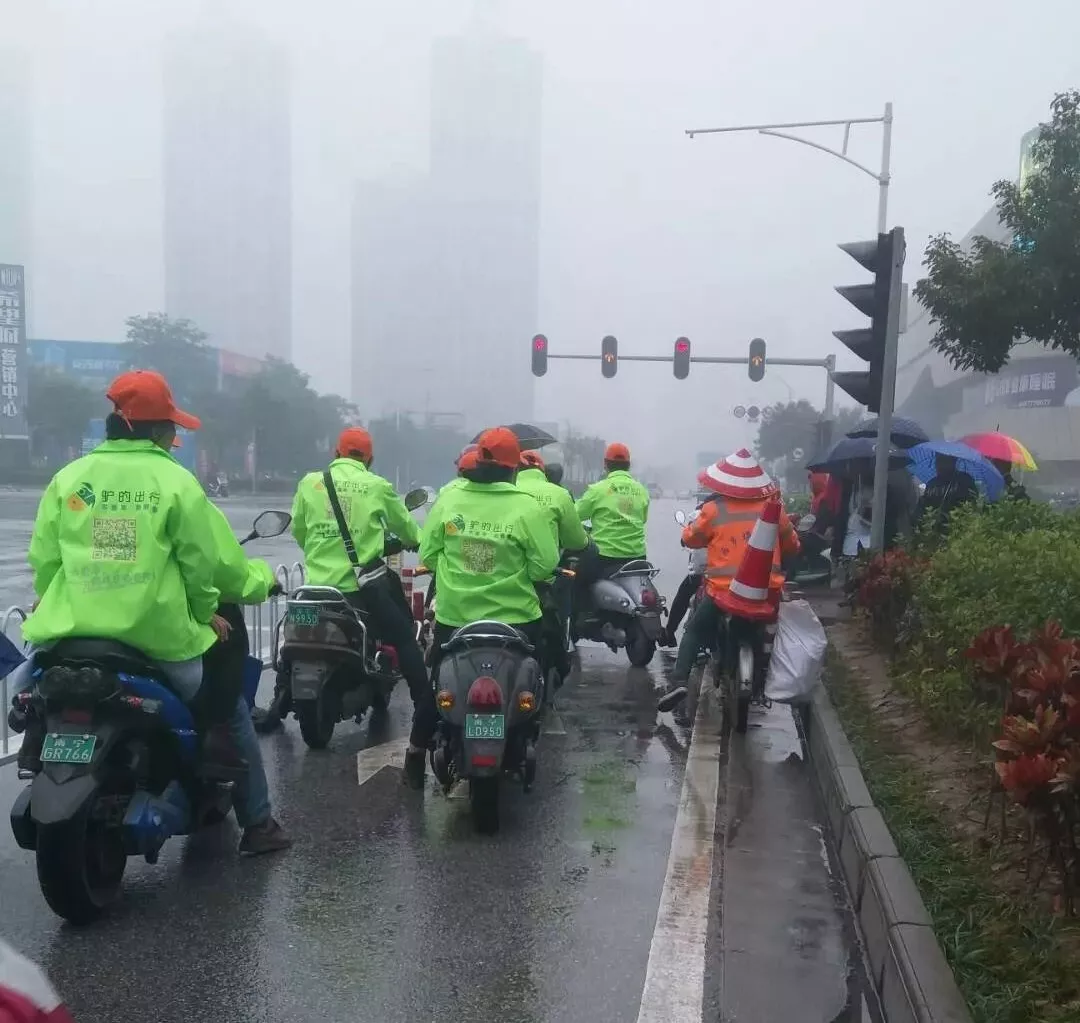 出門打驢？ 南寧“滴滴打驢”被緊急叫停