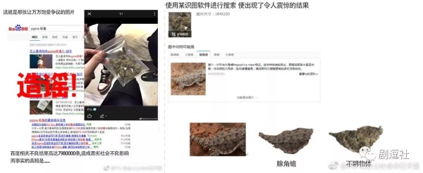 PGone又教給我們一個(gè)新詞：虐粉。