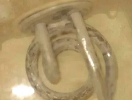 太惡心！女游客竟用酒店燒水壺煮自己的臟內褲