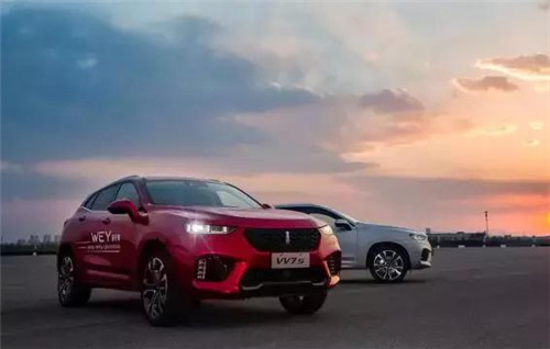 去年“蹦”出來的新汽車品牌們，現(xiàn)在活得怎么樣了？