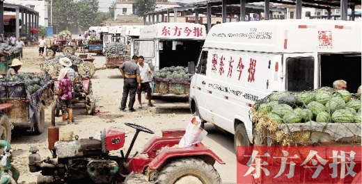 昨日，東方今報(bào)與河南福壽園聯(lián)合購(gòu)瓜，只有更多的市民和企業(yè)加入購(gòu)瓜行動(dòng)，瓜農(nóng)們才能早日回家