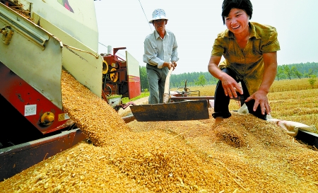 6月3日， 濮陽開發(fā)區(qū)胡村鄉(xiāng)后范莊村的續(xù)秀萍看著新打的粒大飽滿的小麥喜上眉梢。
