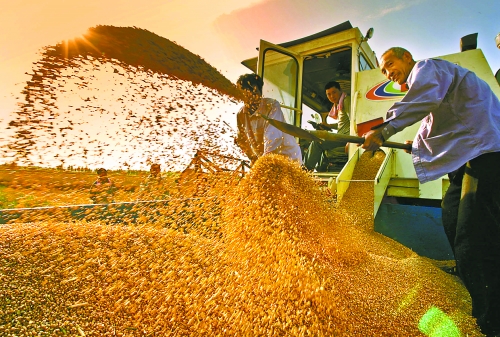 根據(jù)國(guó)家統(tǒng)計(jì)局核定結(jié)果，我省2012年糧食總產(chǎn)量達(dá)到1127.72億斤，成為第9個(gè)連續(xù)增產(chǎn)年份。