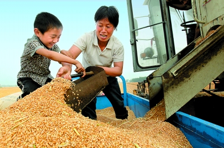 5月27日，確山縣劉店鎮(zhèn)前槽村郭景蓮和小孫子一起收獲小麥，豐收的喜悅寫在了臉上。