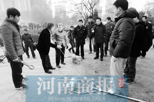 一只辦過狗證的小白狗，因為沒有拴犬鏈，被執(zhí)法人員暫扣
