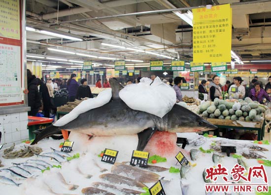 鄭州市一家超市海鮮區(qū)的冰架上赫然擺著一整條鯊魚在出售，鯊魚肉價格為23.80元每斤，遠低于牛羊肉的價