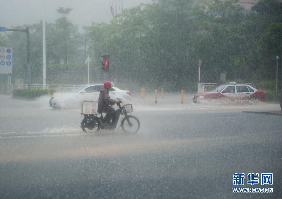 5月11日，車(chē)輛在深圳西麗留仙大道涉水前行。