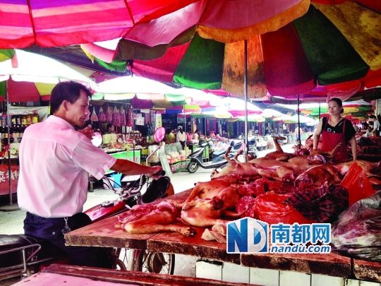  昨日，玉林垌口市場，一位市民在購買狗肉。
