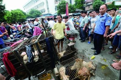 今天是廣西玉林狗肉節(jié)，市場上的攤販增加了數(shù)倍，城管也出動對市場上的占道行為進行規(guī)范 記者 劉暢 攝