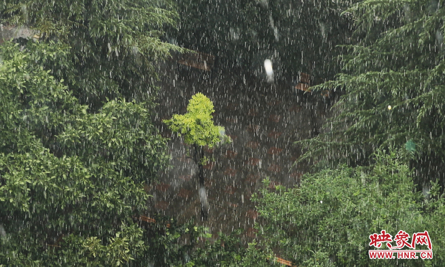 17時32分,鄭州強降雨,紫荊山附近的市民真切地感受到了什么叫大雨傾盆。
