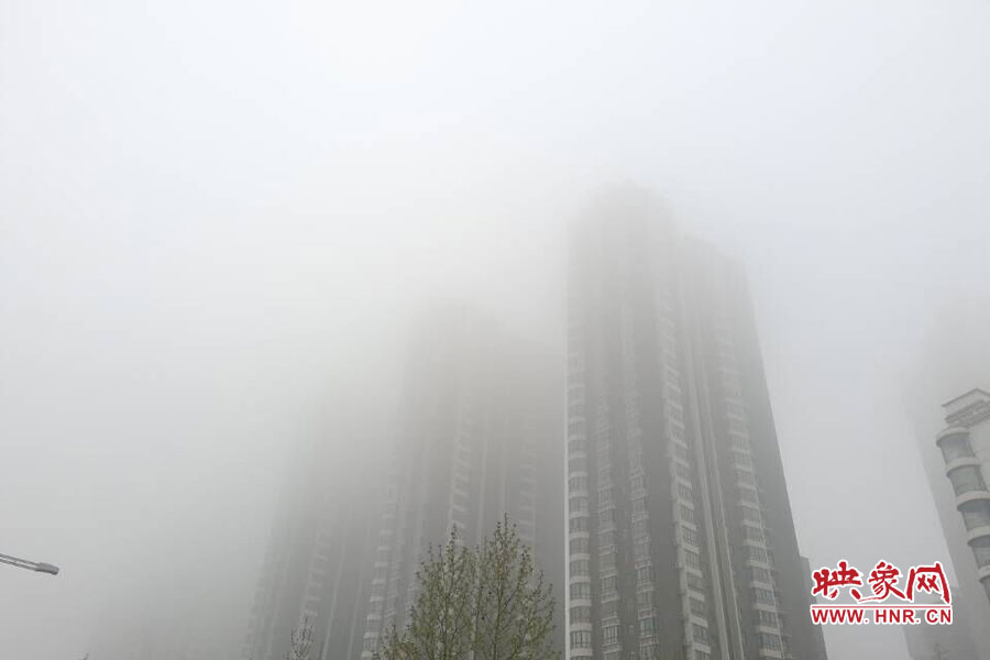 鄭州現(xiàn)大霧天氣，宛若仙境