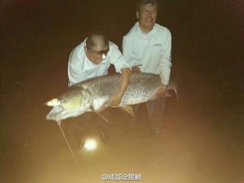 圖為大魚需要兩個(gè)人抱起。