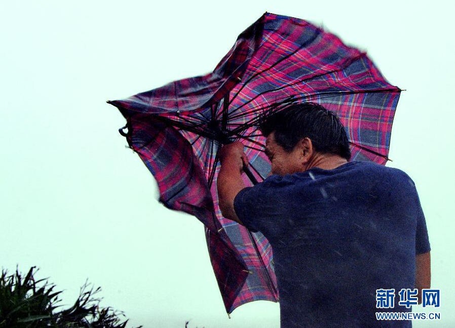 8月8日，福建省石獅市漁民在風雨中前行。