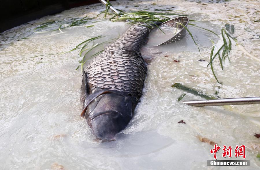 “魚王”在3米大鍋內(nèi)烹飪。 圖片來源：CFP視覺中國