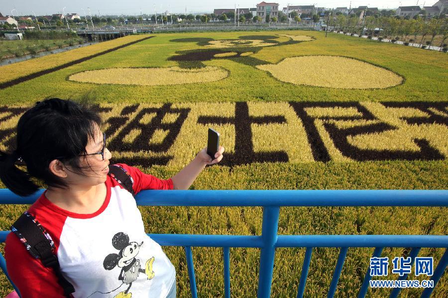 10月25日，游客在觀景臺(tái)上觀賞“米老鼠”稻田畫。