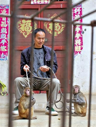 10月13日，耍猴人鮑慶山牽著從牡丹江帶回的兩只小猴在家門口玩耍。