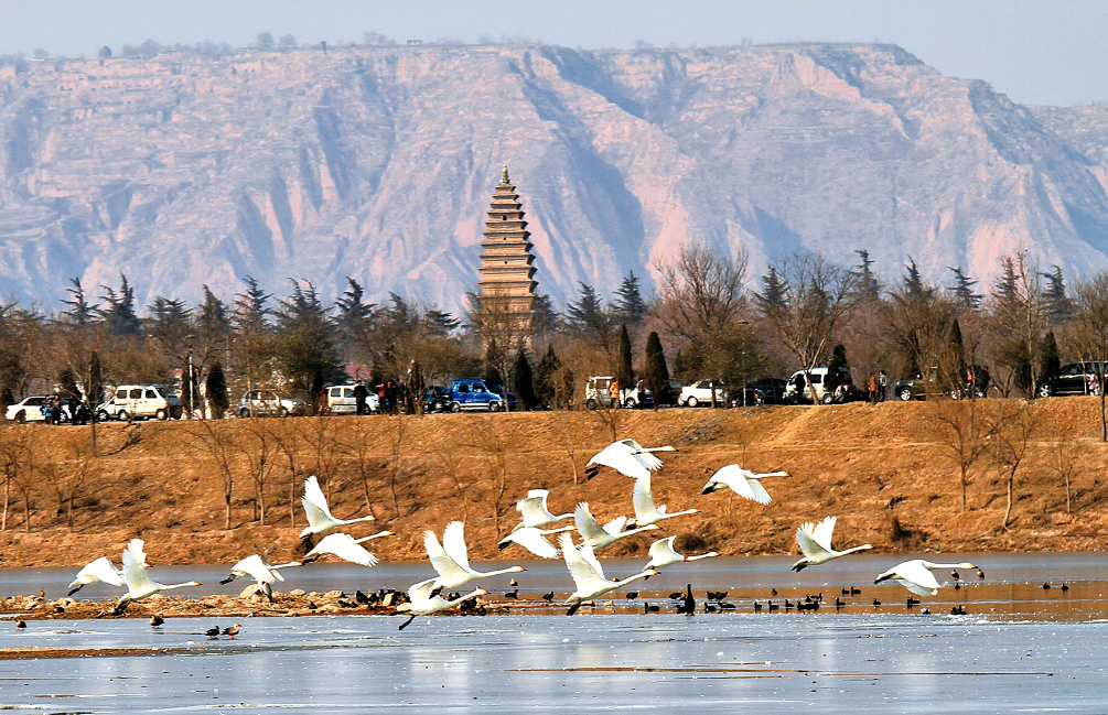 5月19日，“中國(guó)旅游日”河南分會(huì)場(chǎng)活動(dòng)將在天鵝之城——三門(mén)峽舉辦。