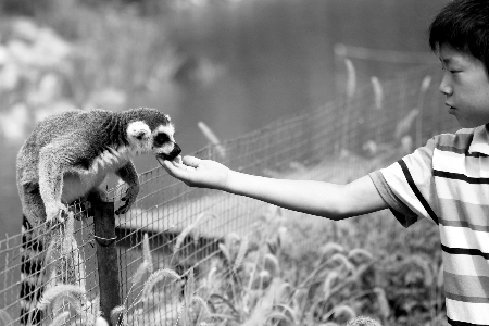 豫學(xué)生拿高考準(zhǔn)考證半價(jià)游動物園