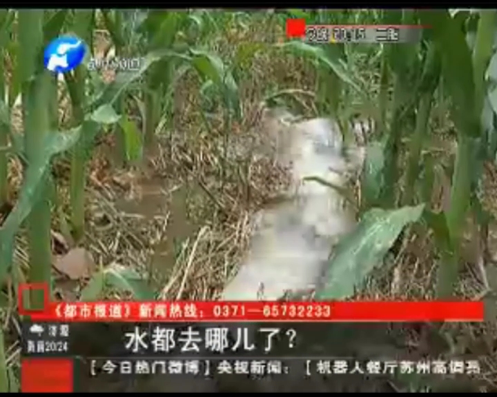 水都去哪了？