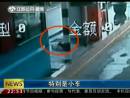 高速邊苦等十三天 主人你在哪里？