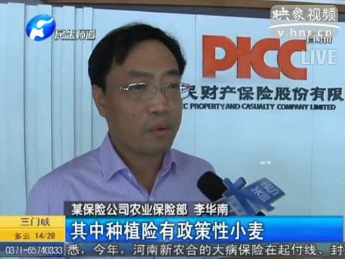 冰雹惹禍 損失能索賠嗎？